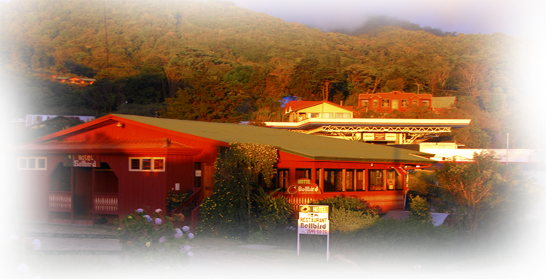 Vistas panoramicas del bosque nuboso de Monteverde